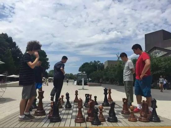 在哈佛的校园里，国际象棋是美丽的一道风景线